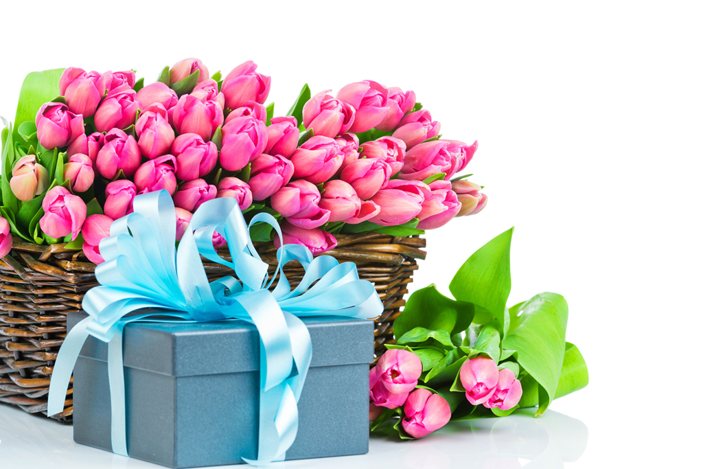 Tulips_Holidays_Many_369261.jpg